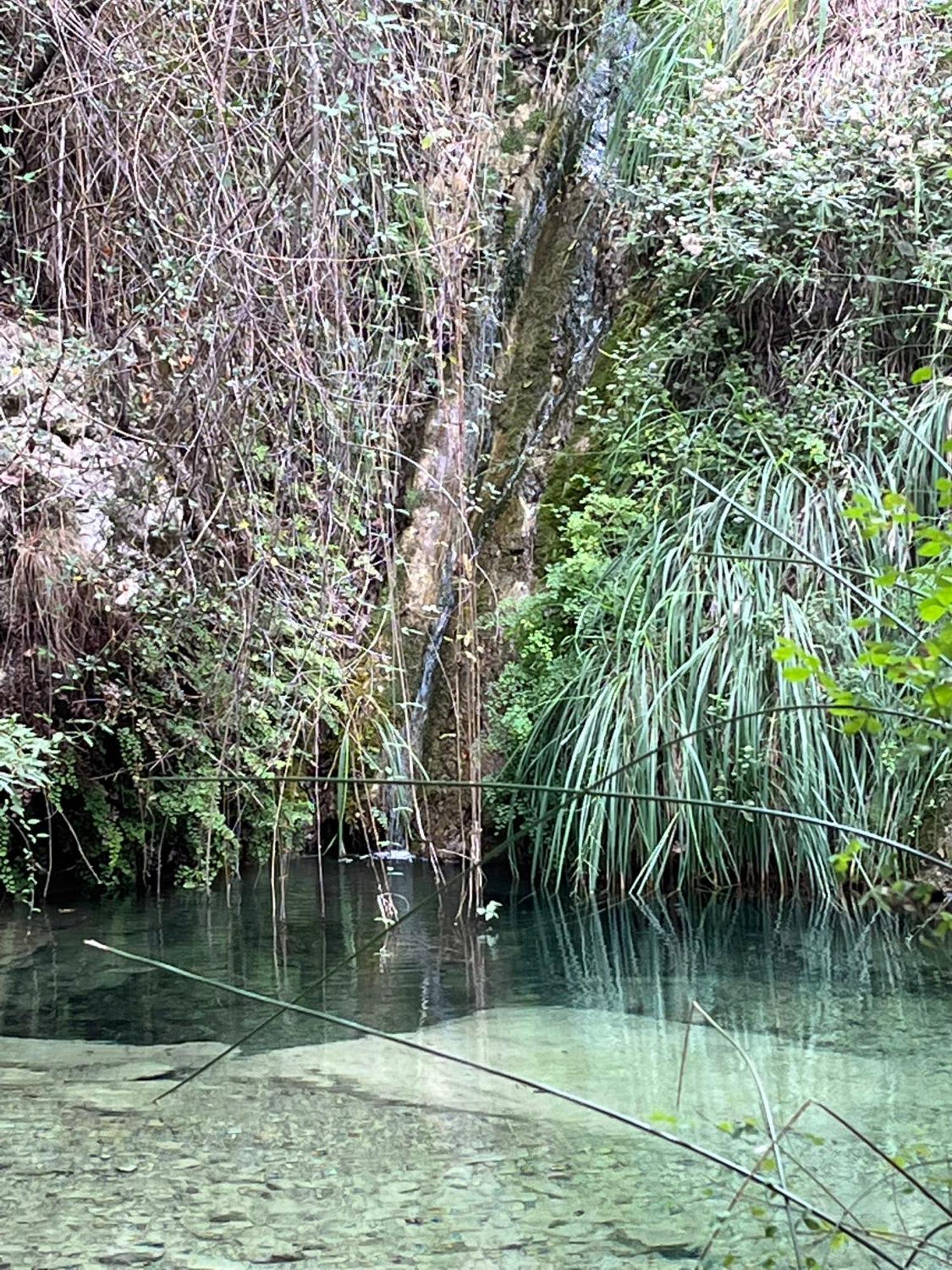 Villa D'Artisti 圣雷默 外观 照片